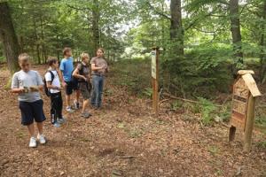 Nova urejena pot v Krajinskem parku Rački ribniki-Požeg 3